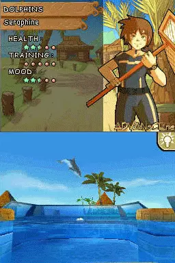 Image n° 3 - screenshots : Dolphin Island